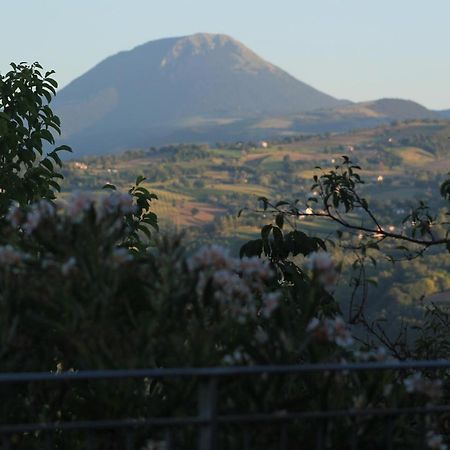 Casa Delle Noci B&B Rosora Exteriér fotografie