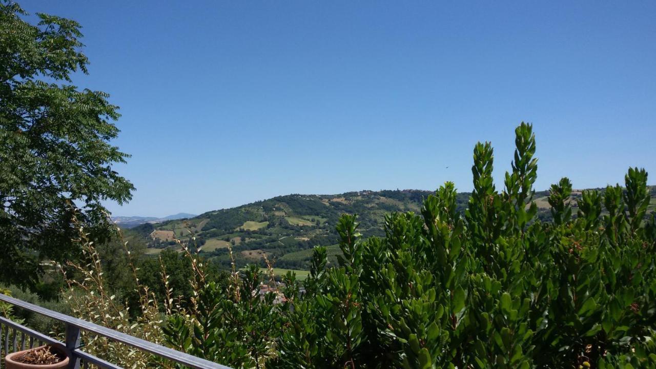 Casa Delle Noci B&B Rosora Exteriér fotografie