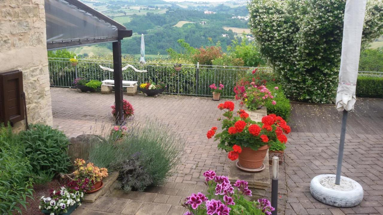 Casa Delle Noci B&B Rosora Exteriér fotografie
