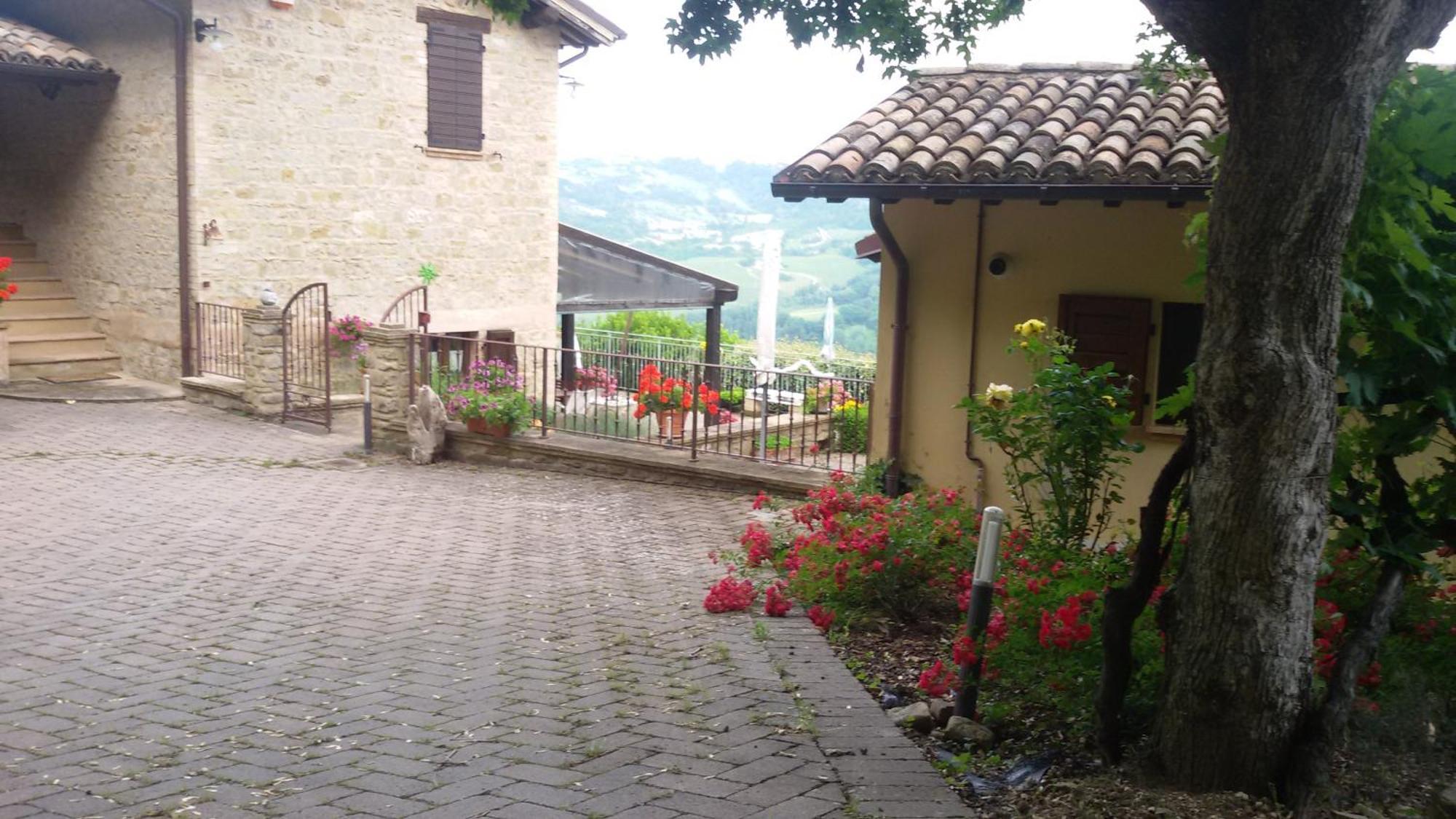 Casa Delle Noci B&B Rosora Exteriér fotografie