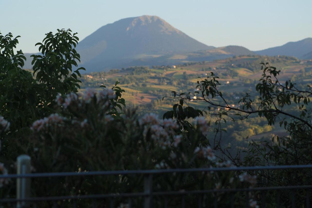 Casa Delle Noci B&B Rosora Exteriér fotografie