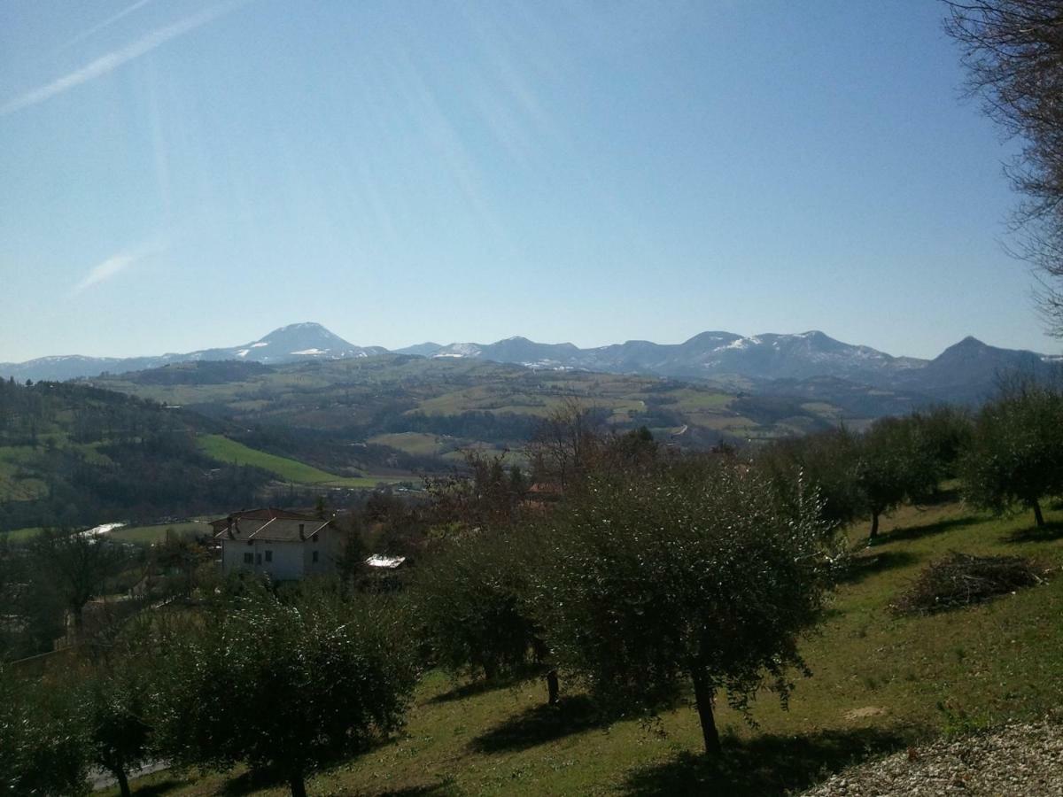 Casa Delle Noci B&B Rosora Exteriér fotografie
