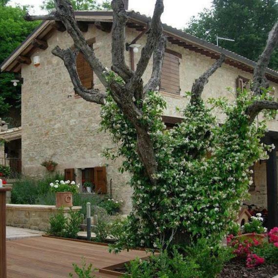 Casa Delle Noci B&B Rosora Exteriér fotografie