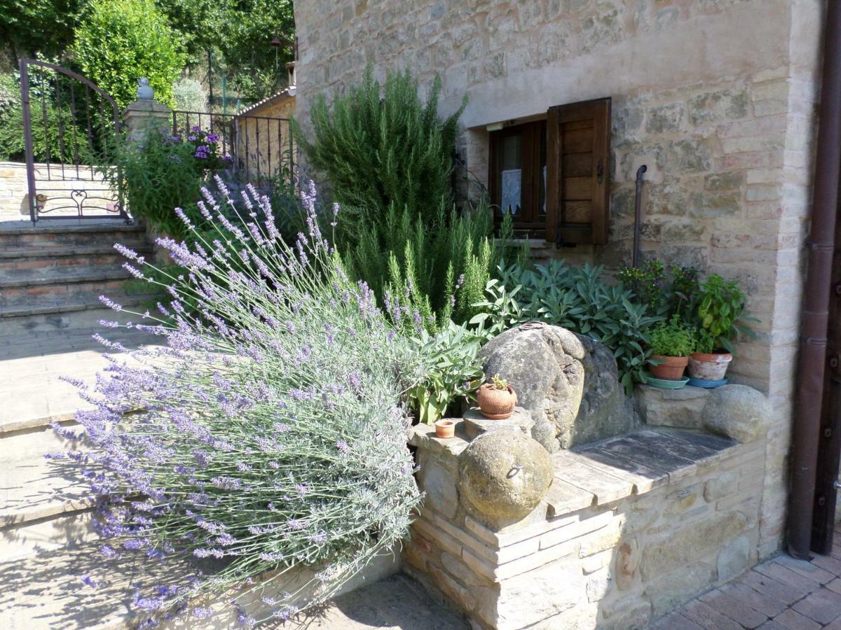Casa Delle Noci B&B Rosora Exteriér fotografie
