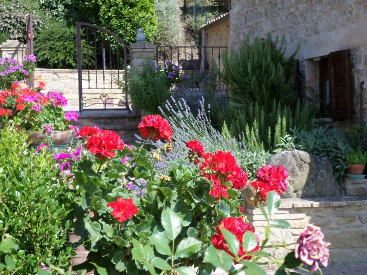 Casa Delle Noci B&B Rosora Exteriér fotografie